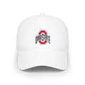 College & University Low Profile Baseball Cap